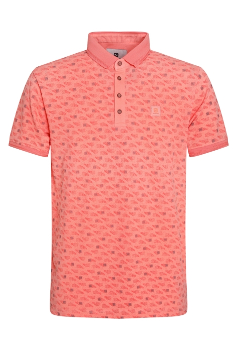 Gabbiano 235530